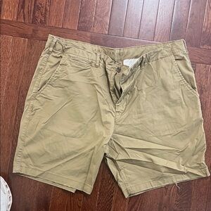 American Eagle Outfitters Men’s Olive-Tan Flat Front Shorts